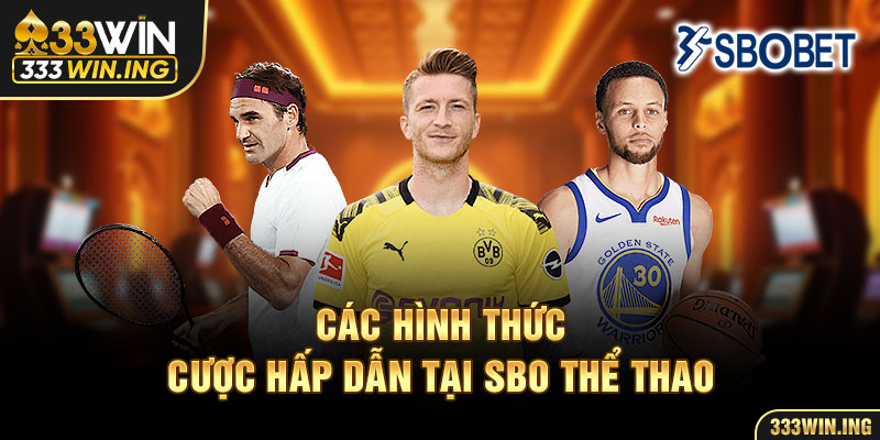 Các hình thức cược hấp dẫn tại SBO thể thao